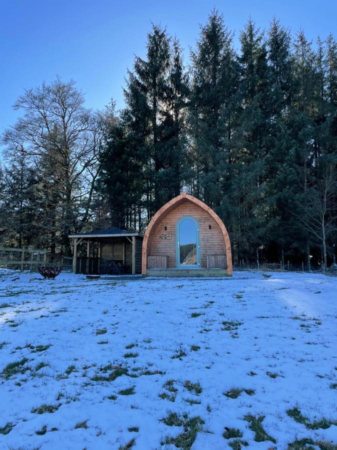 Luxury Rural Ayrshire Glamping Pod Hotel Dalmellington Exterior foto